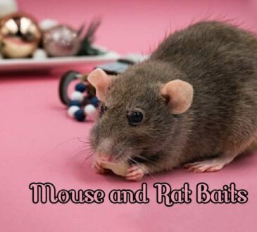 Mouse and Rat Baits
