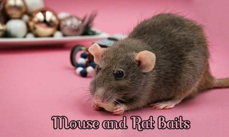 Mouse and Rat Baits