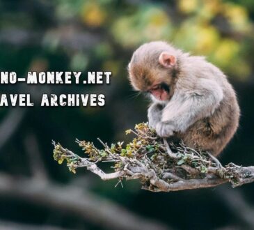 Albino-monkey.net Travel Archives