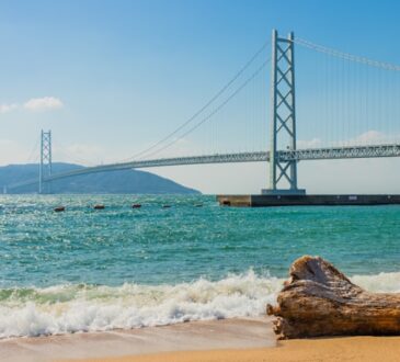 The Modern Bridges Shaping Our Skylines