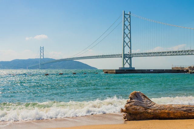 The Modern Bridges Shaping Our Skylines